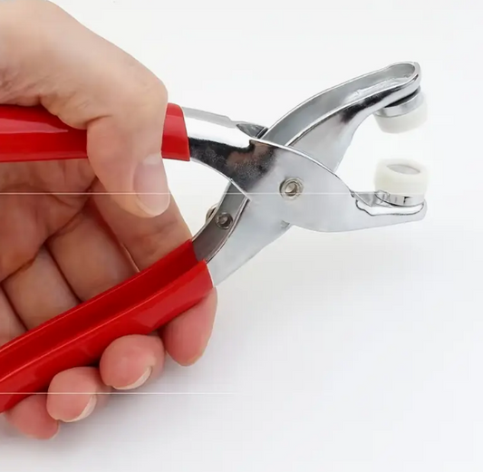 Dana per pulla (me 100 pulla)