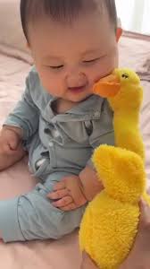 Loder rosak me qafe levizese