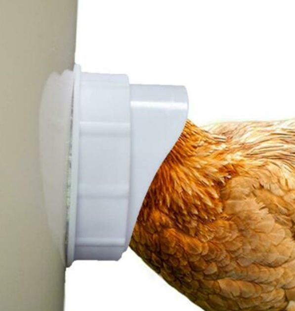 Tub ushqyes për pula 10pcs