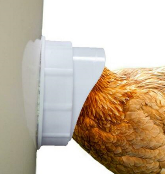 Tub ushqyes për pula 10pcs