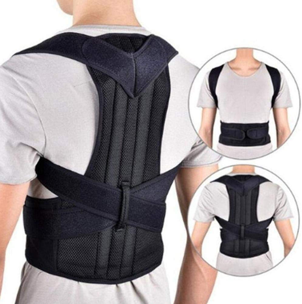 Jelek shpine (I gjate)